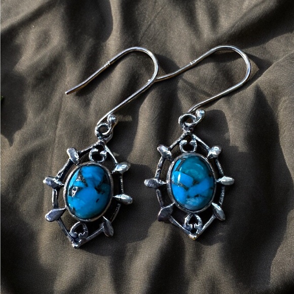 Blue Moon Turquoise Sterling Silver Drop Earrings - Picture 6 of 9